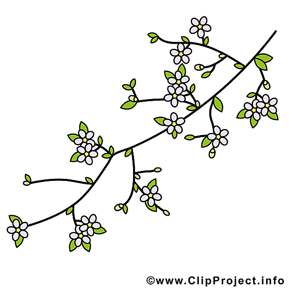 Cerisier image gratuite – Printemps clipart