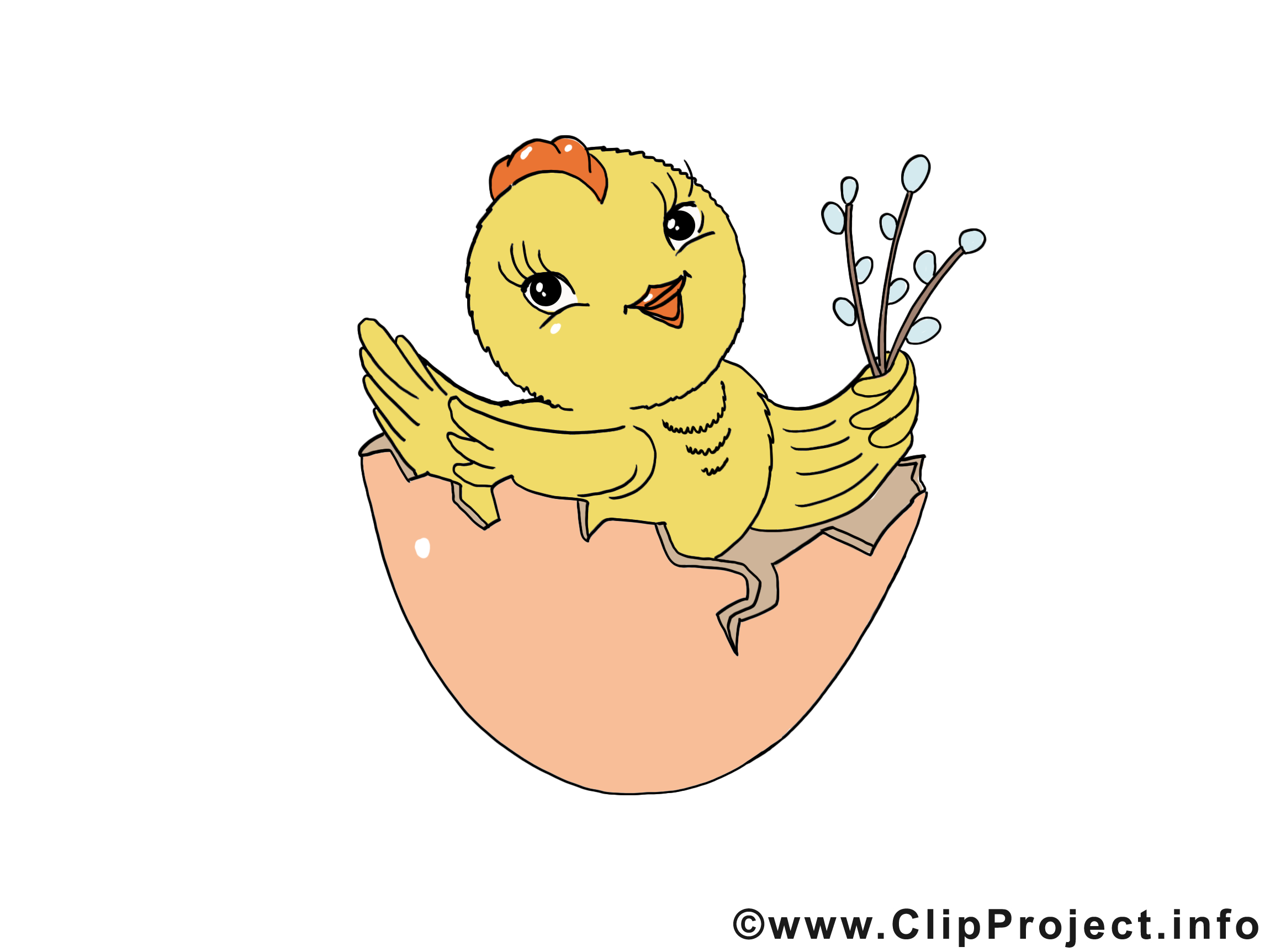 Coquille image gratuite – Pâques clipart