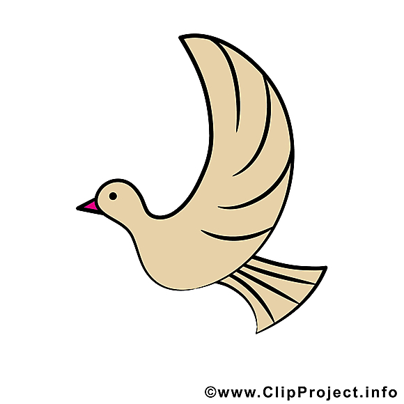 Clipart colombe – Confirmation dessins gratuits