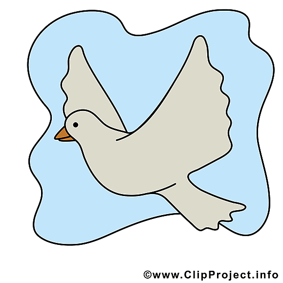 Confirmation colombe illustration gratuite