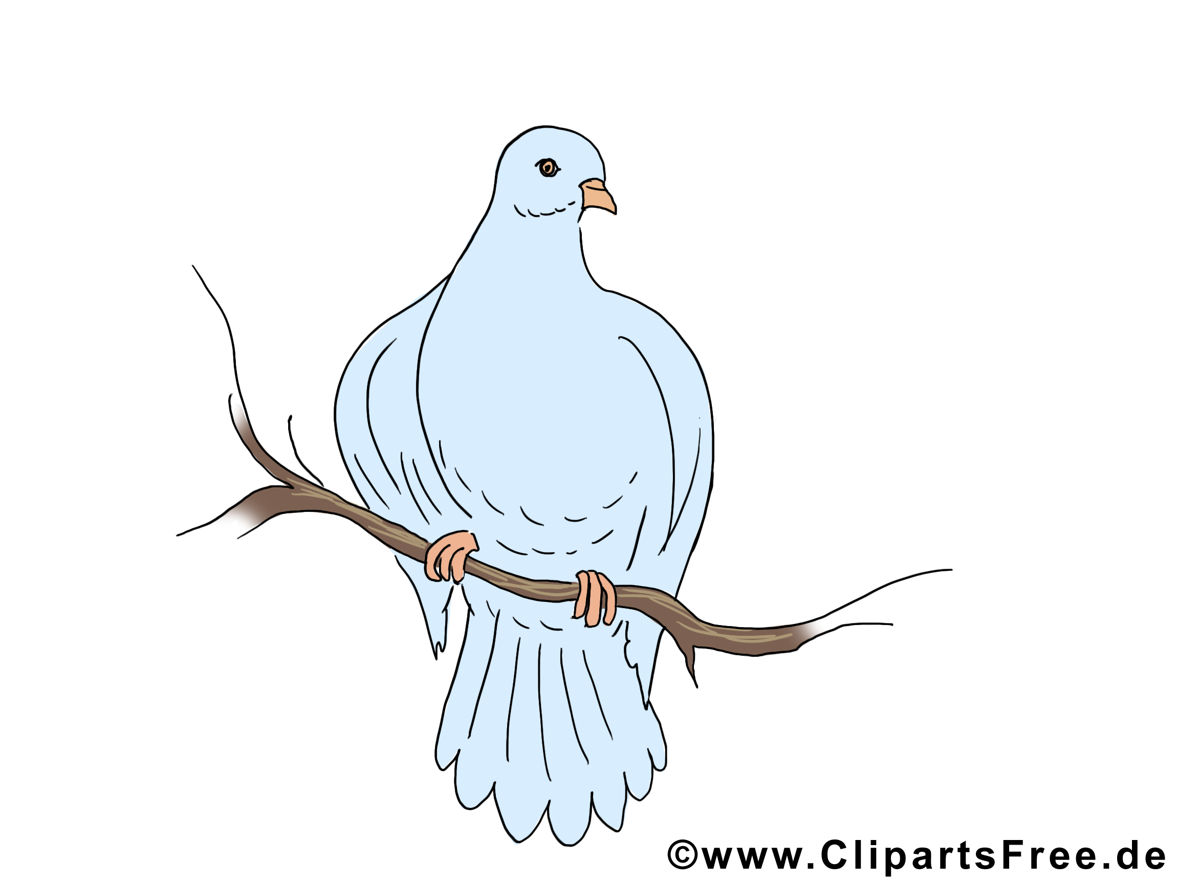 Branche illustration - Pentecôte clipart