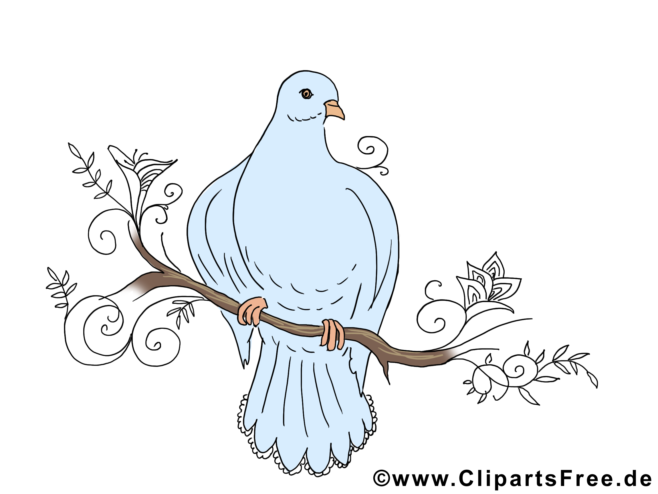 Branche pigeon clip art Pentecôte image