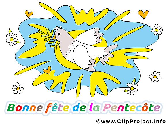 Colombe illustration - Pentecôte clipart