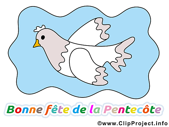 Colombe image gratuite Pentecôte clipart