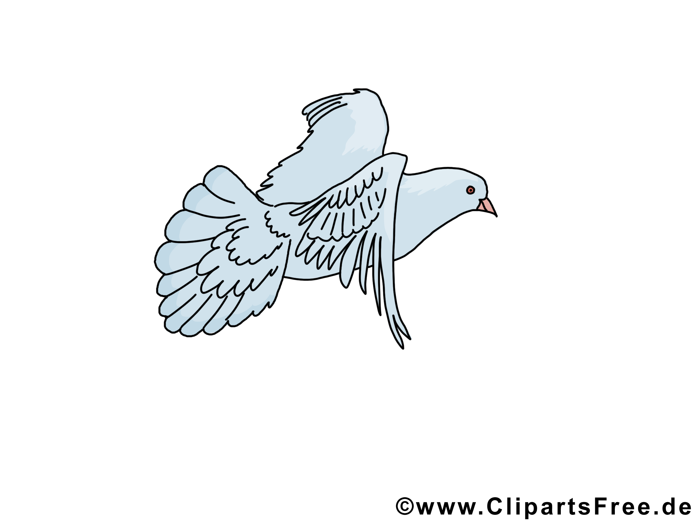 Pentecôte image gratuite – Pigeon clipart