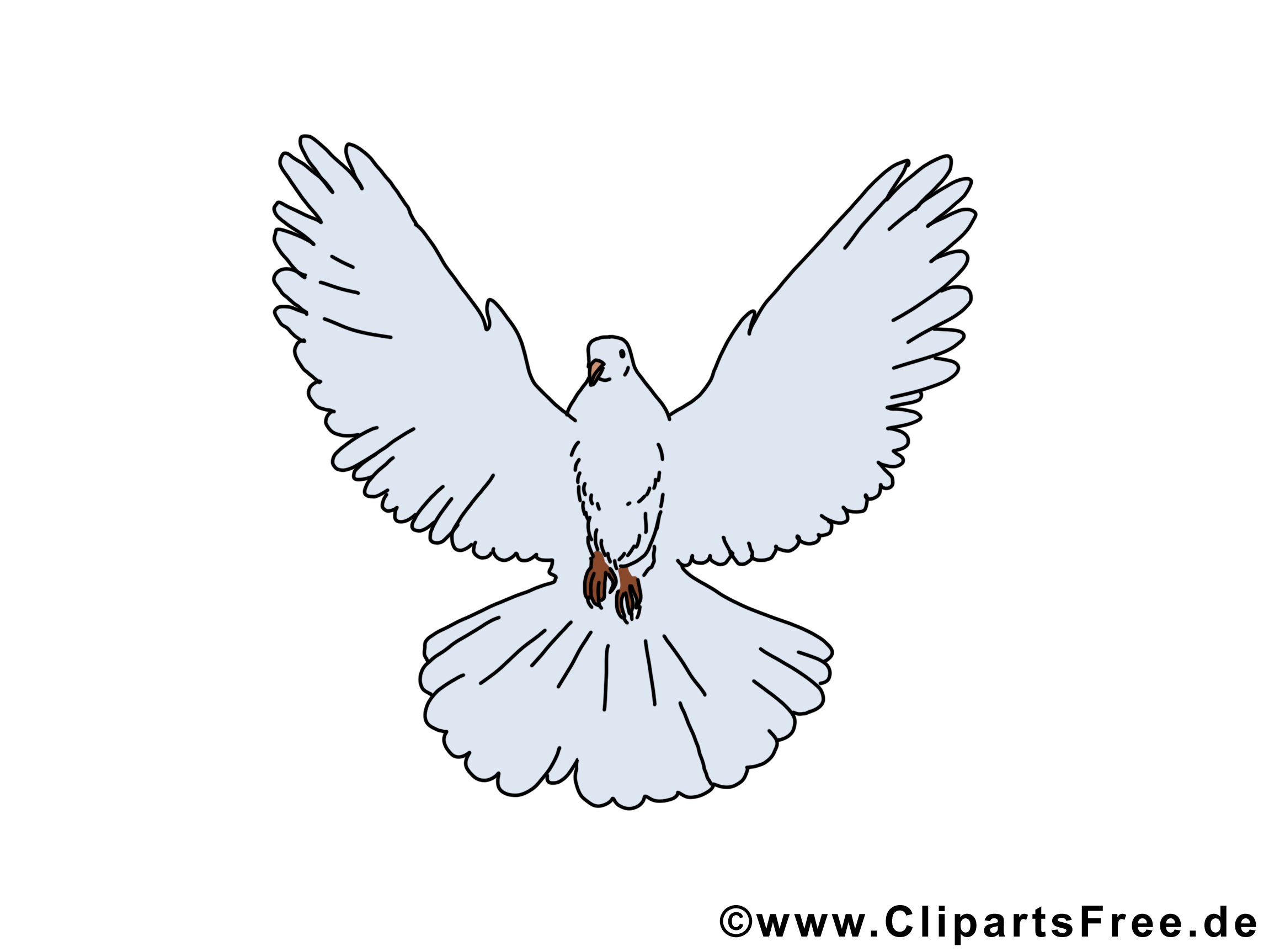 Pentecôte pigeon image à télécharger gratuite