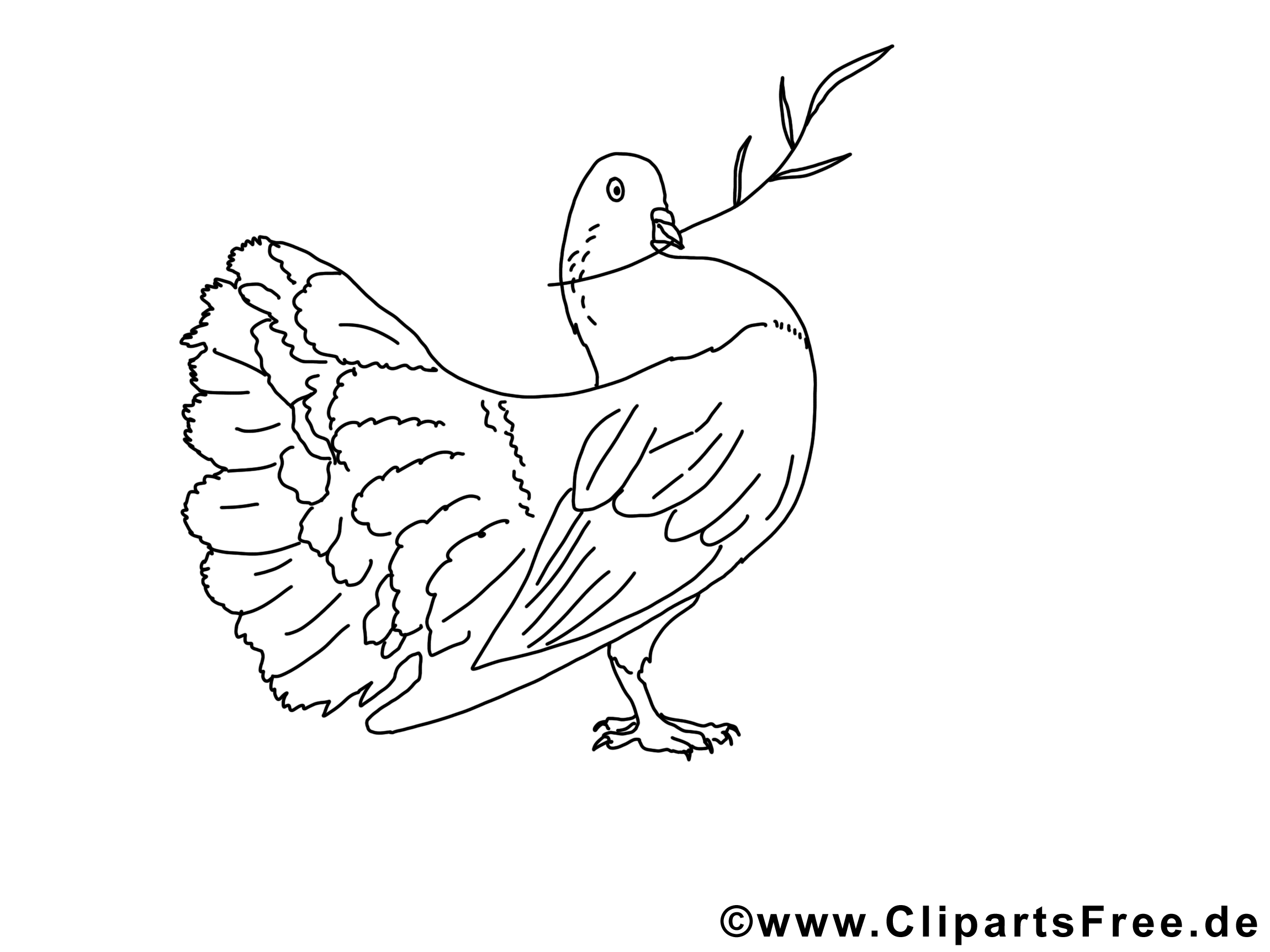 Pigeon coloriage - Pentecôte dessin
