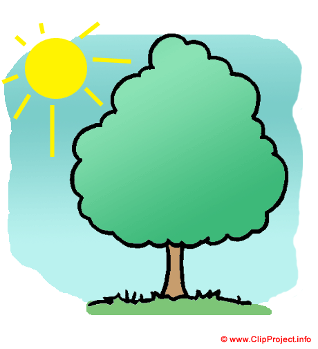 Arbre clipart gratuite