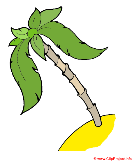 Palme clipart gratuit