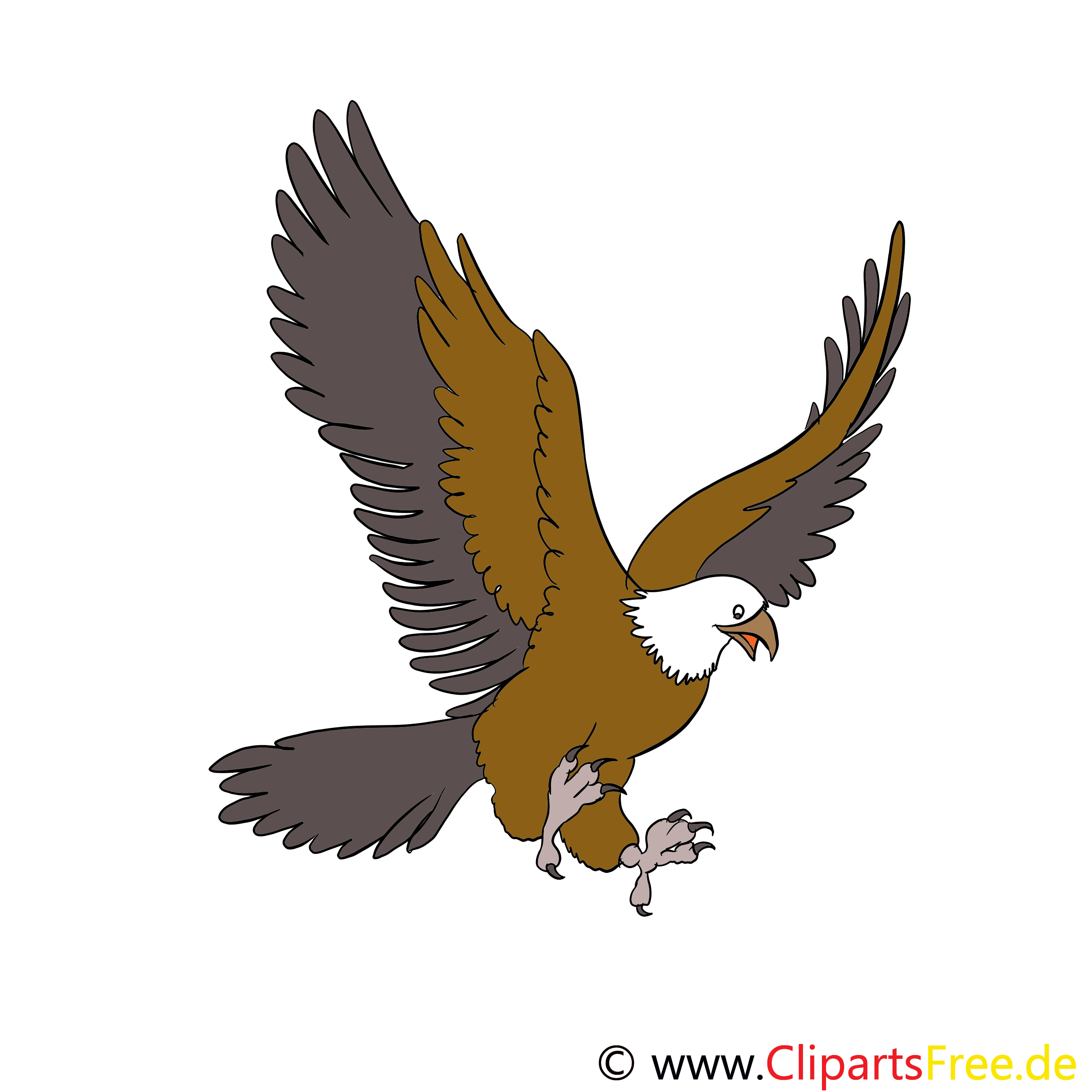 Aigle images gratuites – Animal clipart