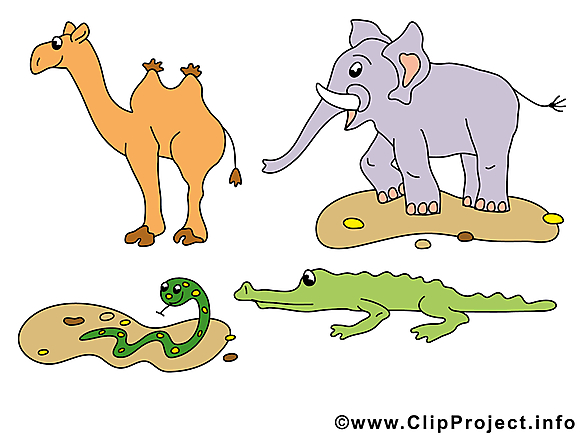 Chameau éléphant clipart – Animal dessins gratuits