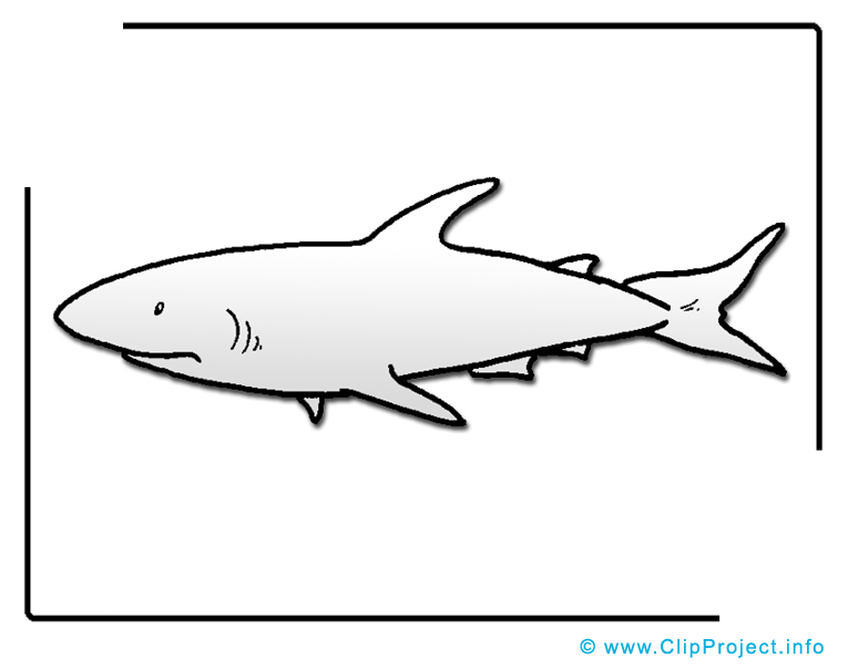 Coloriage requin clip arts gratuits – Animal illustrations