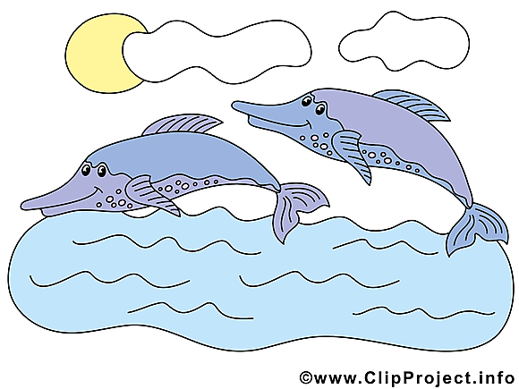 Dauphins clip arts gratuits – Animal illustrations