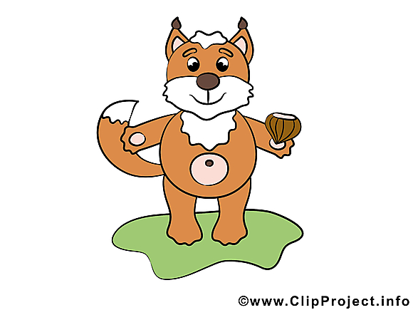 Écureuil dessin – Animal clip arts gratuits
