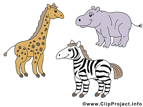 Girafe zèbre image gratuite – Animal cliparts