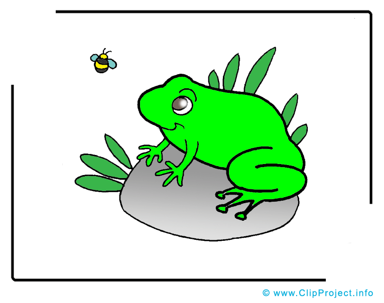 Grenouille dessins gratuits – Animal clipart