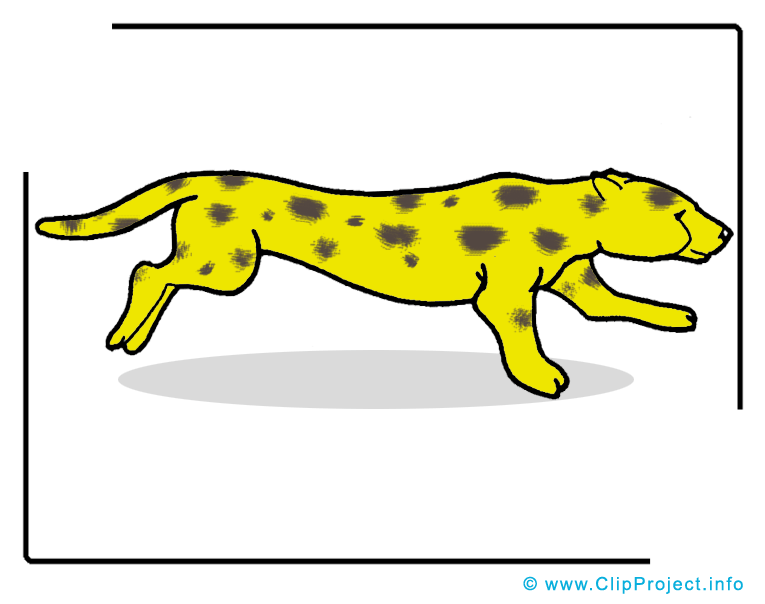 Guépard image gratuite – Animal illustration