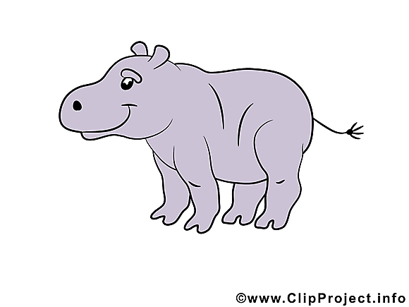 Hippopotame illustration – Animal images