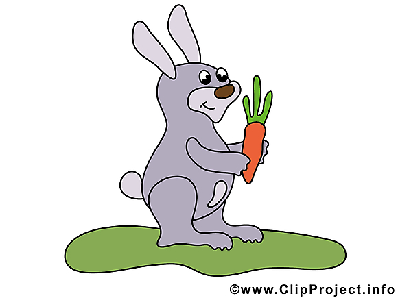 Lapin images – Animal dessins gratuits