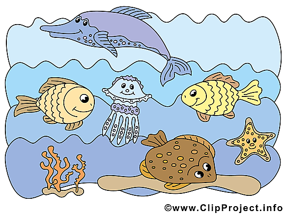 Mer dessins gratuits – Animal clipart