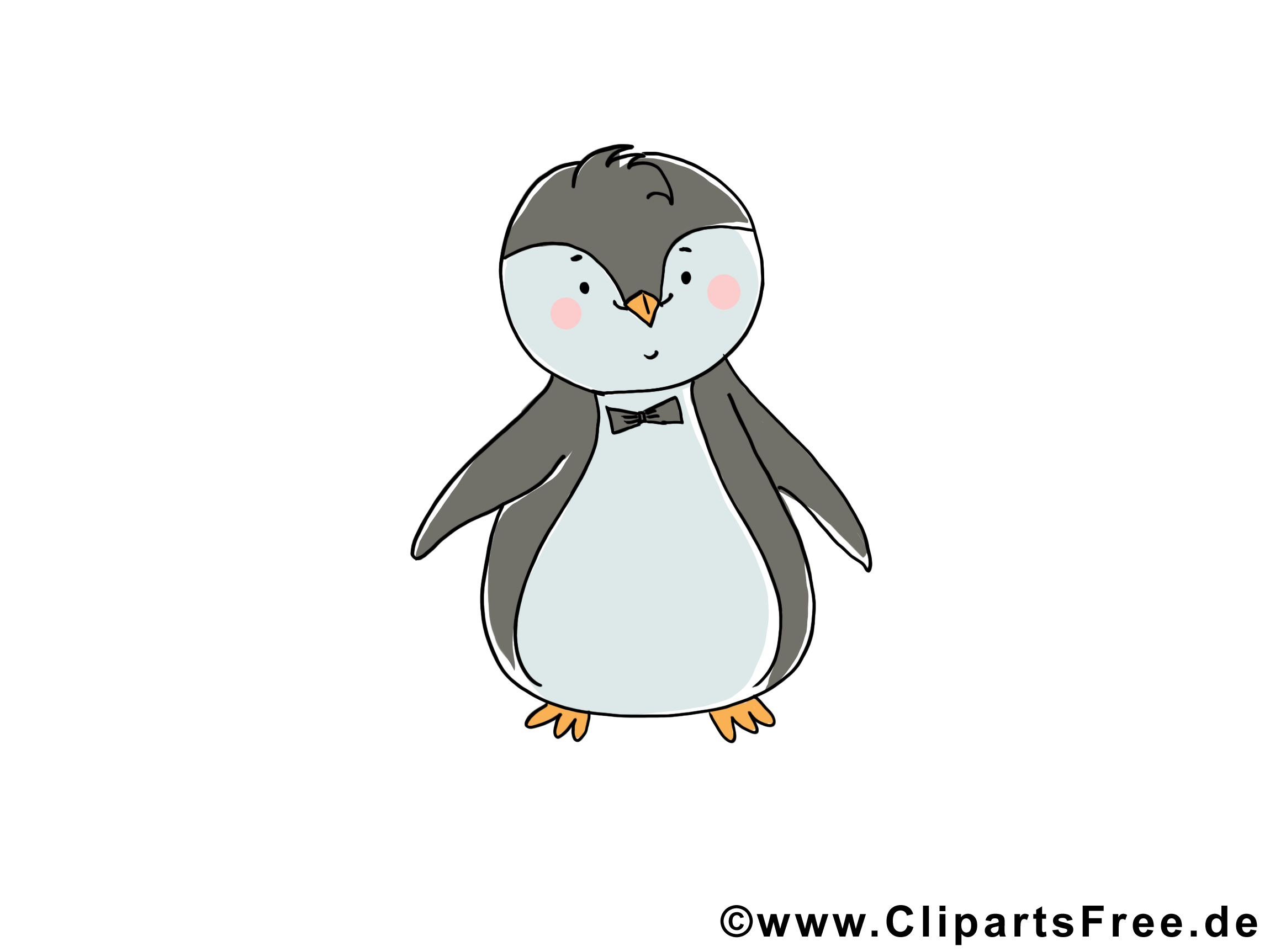 Pingouin illustration gratuite – Animal clipart