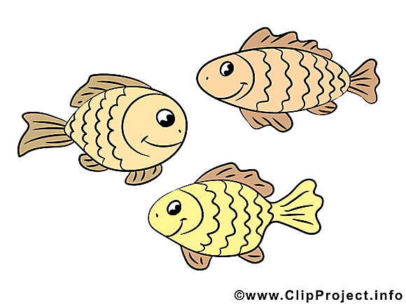 Poissons clip arts gratuits – Animal illustrations