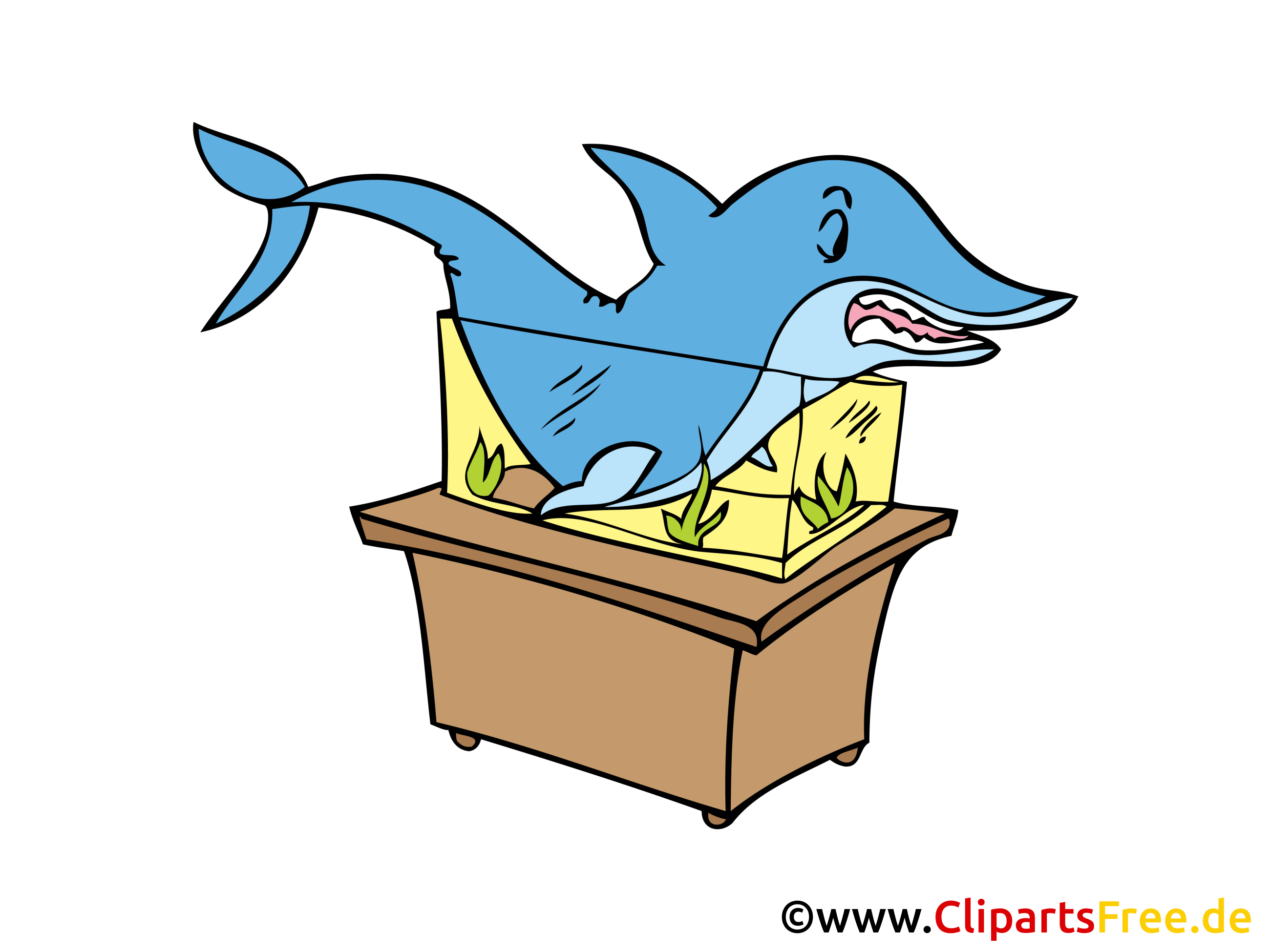 Requin clip art – Animal image gratuite