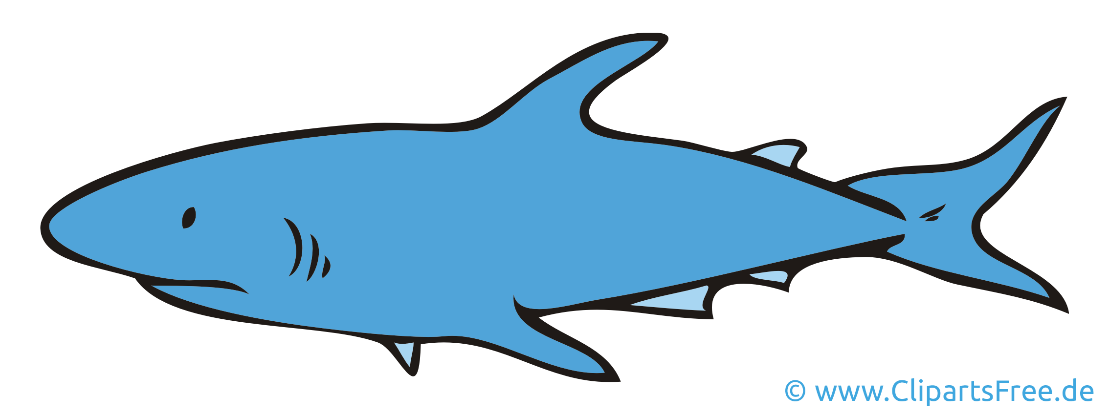 Requin dessin – Animal clip arts gratuits