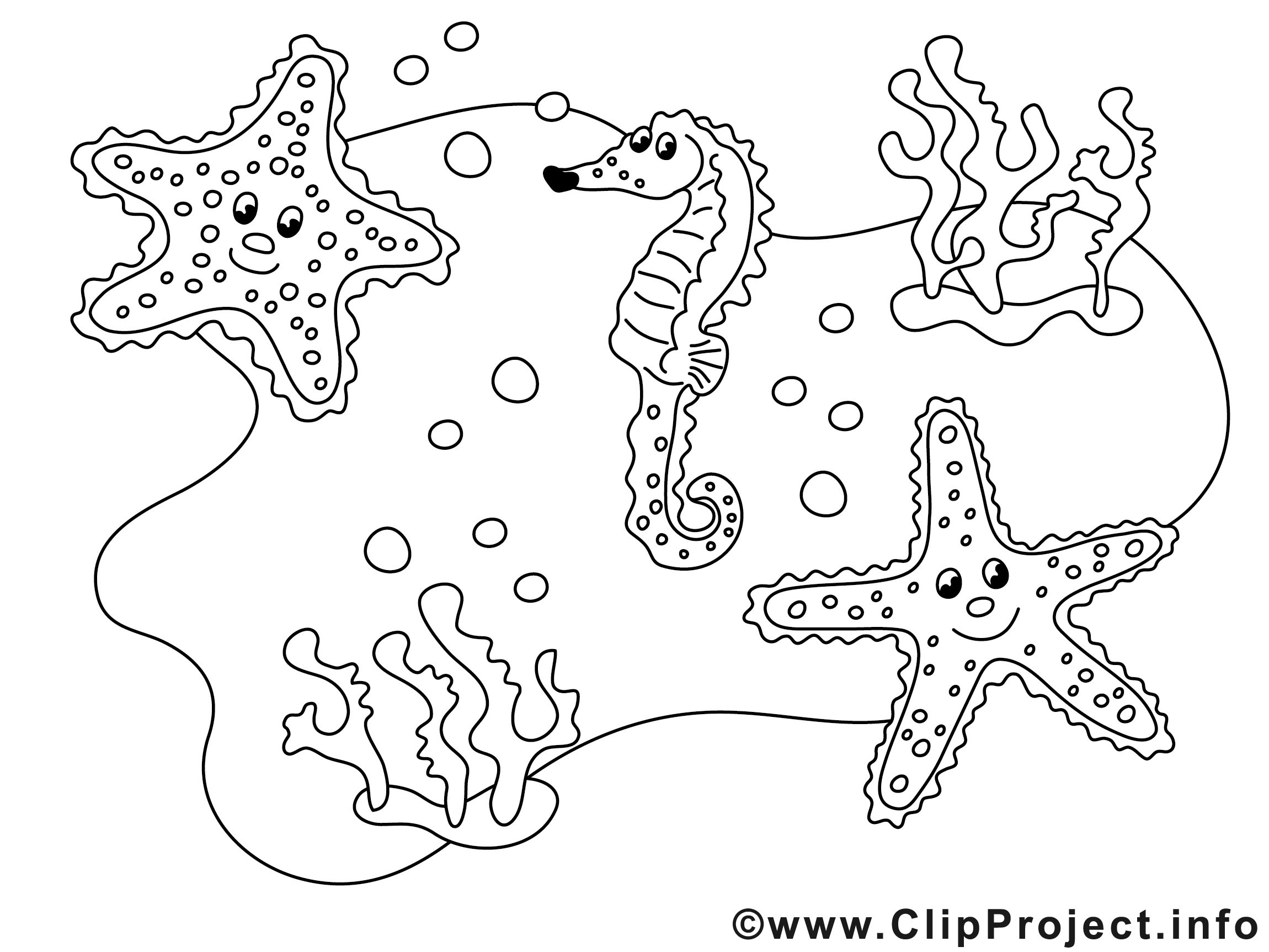 Coloriage A Imprimer Gratuit Etoile De Mer Coloriage 2019