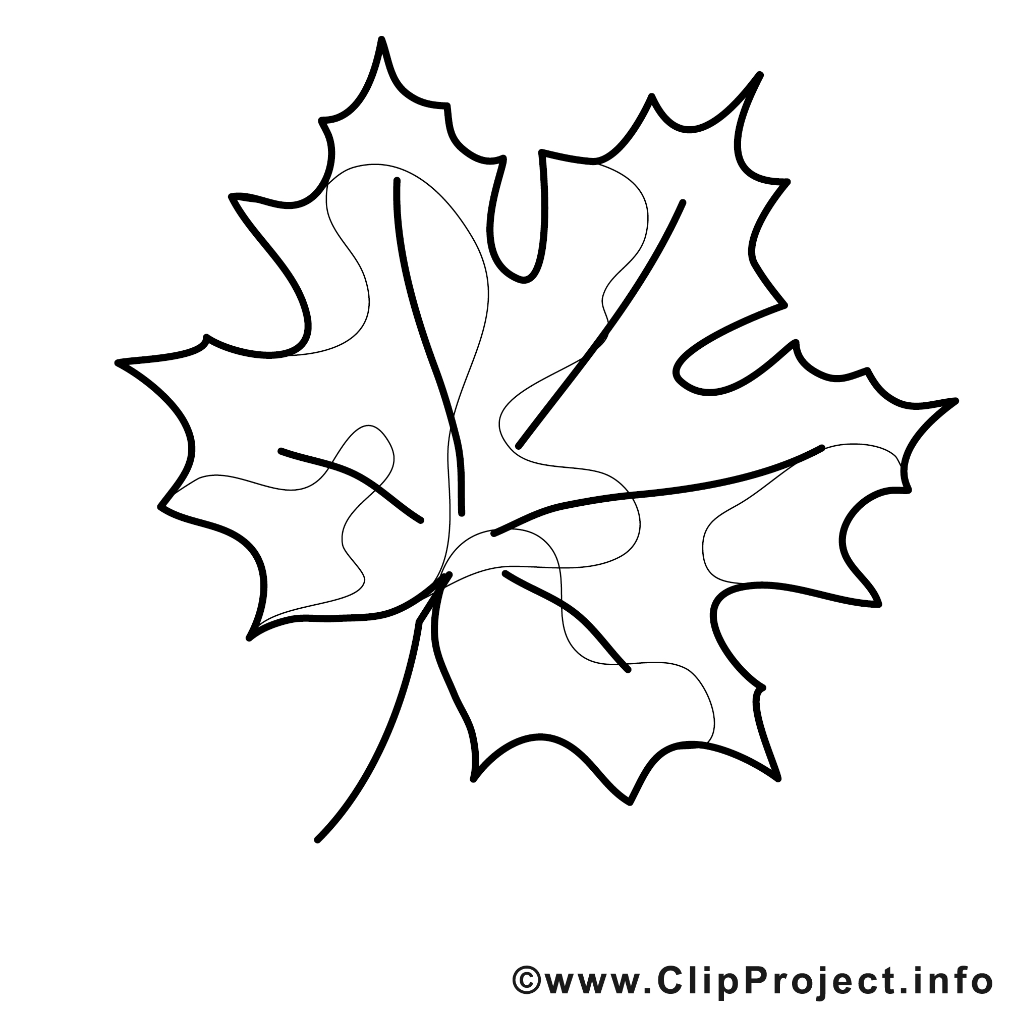 Dessin Feuille Coloriage Automne A Telecharger Automne Coloriages Dessin Picture Image Graphic Clip Art Telecharger Gratuit