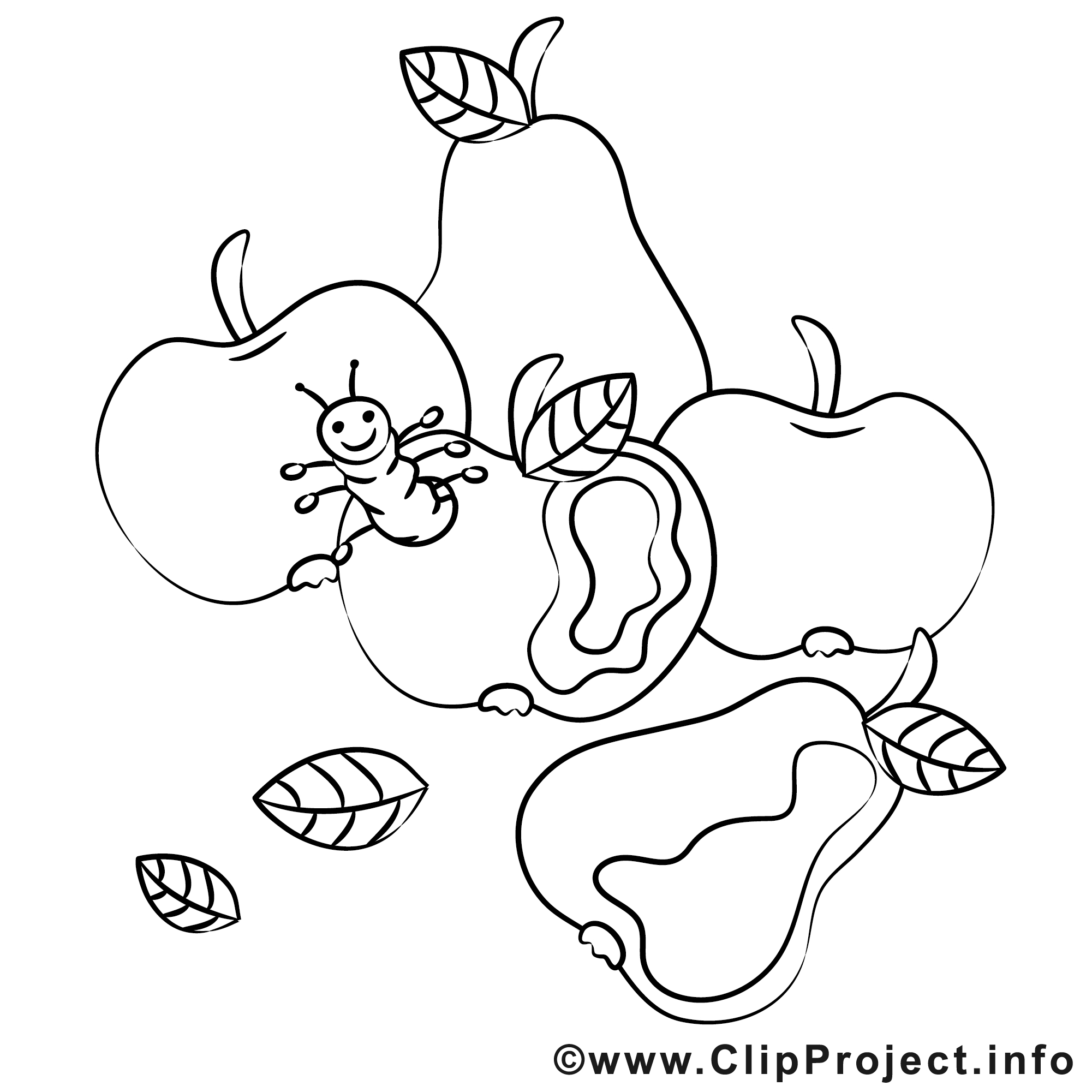 Fruits image gratuite – Automne à imprimer  Automne coloriages dessin