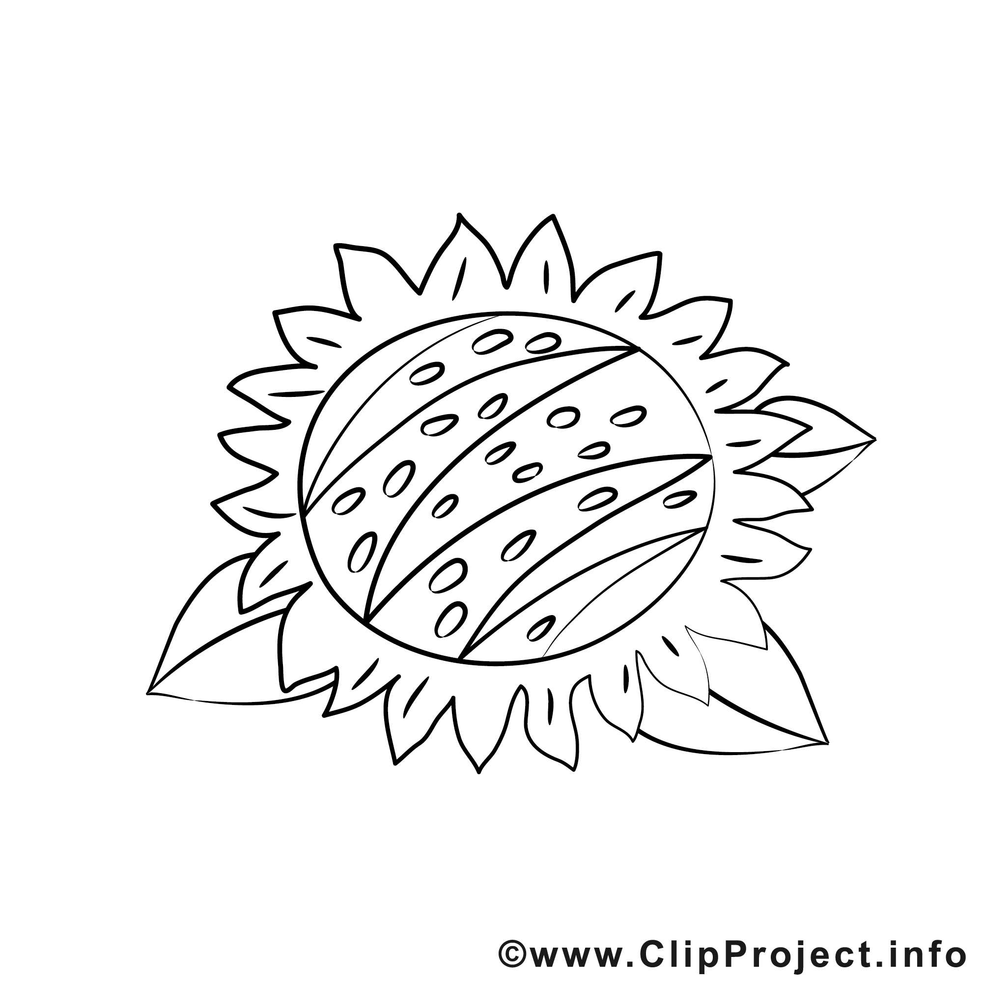 Tournesol dessin à télécharger - Automne à colorier ...