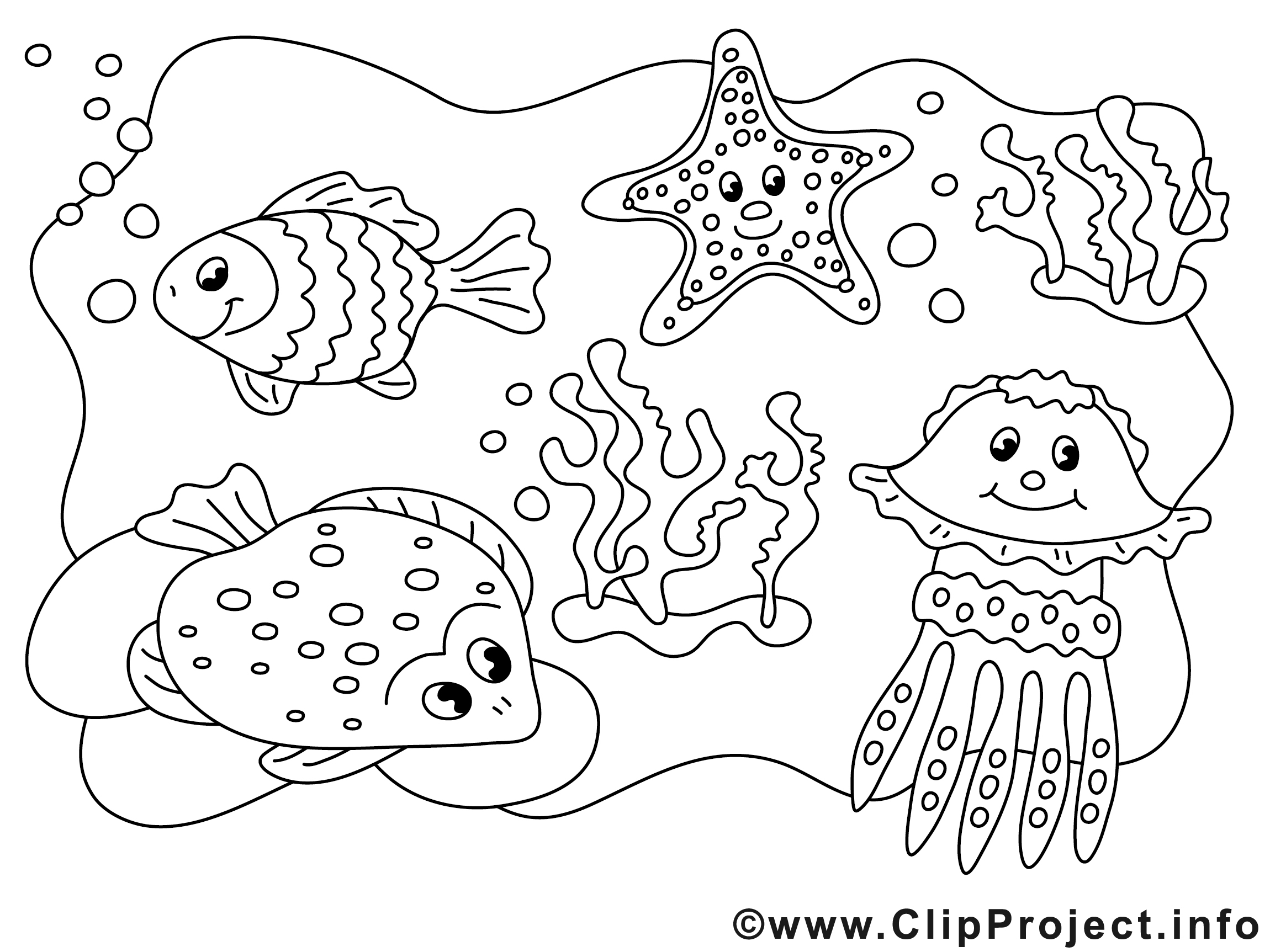 Animaux marin illustration à colorier clipart  Divers Pages à colorier