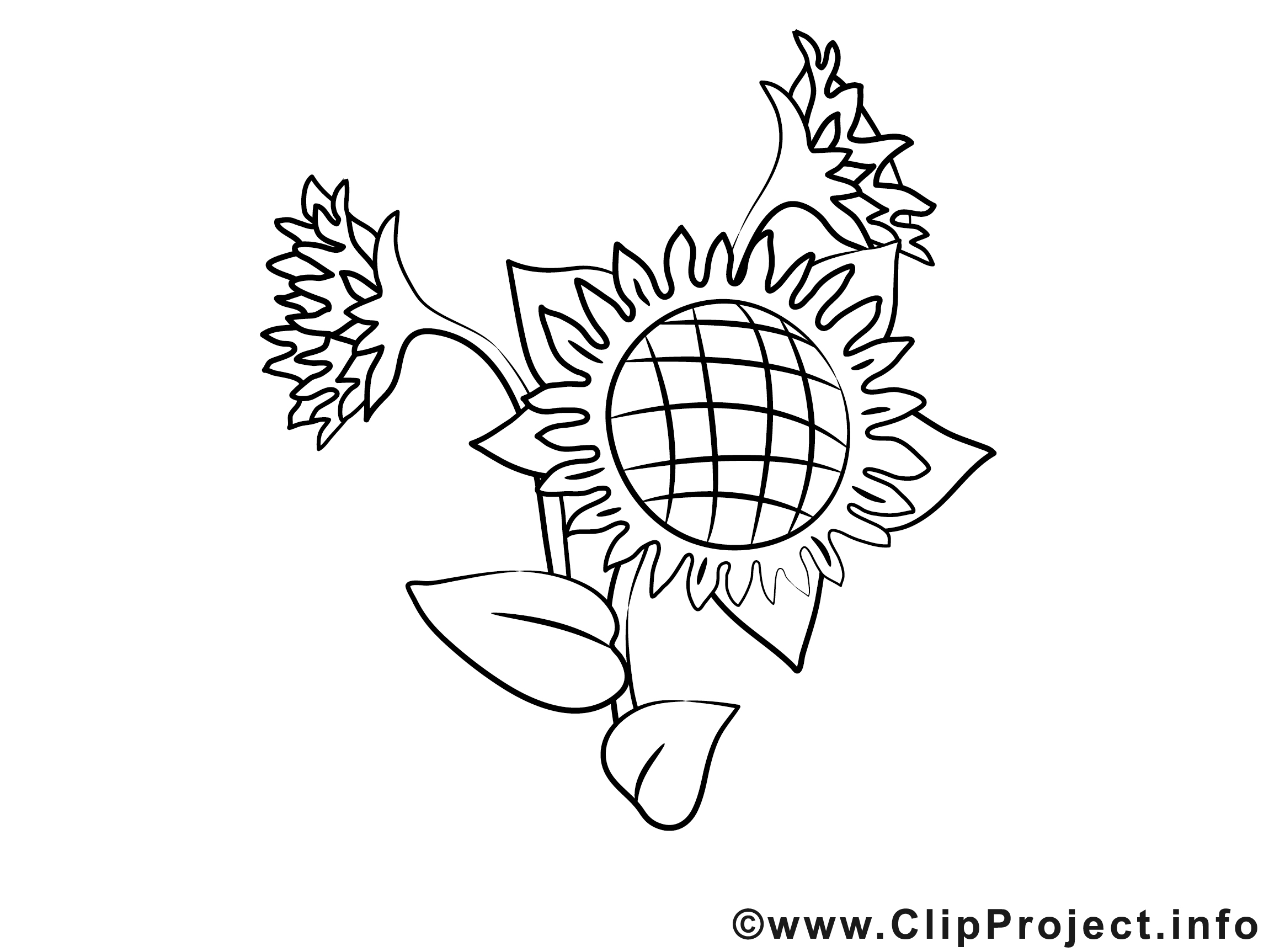 Tournesol image à colorier illustration - Divers Pages à ...