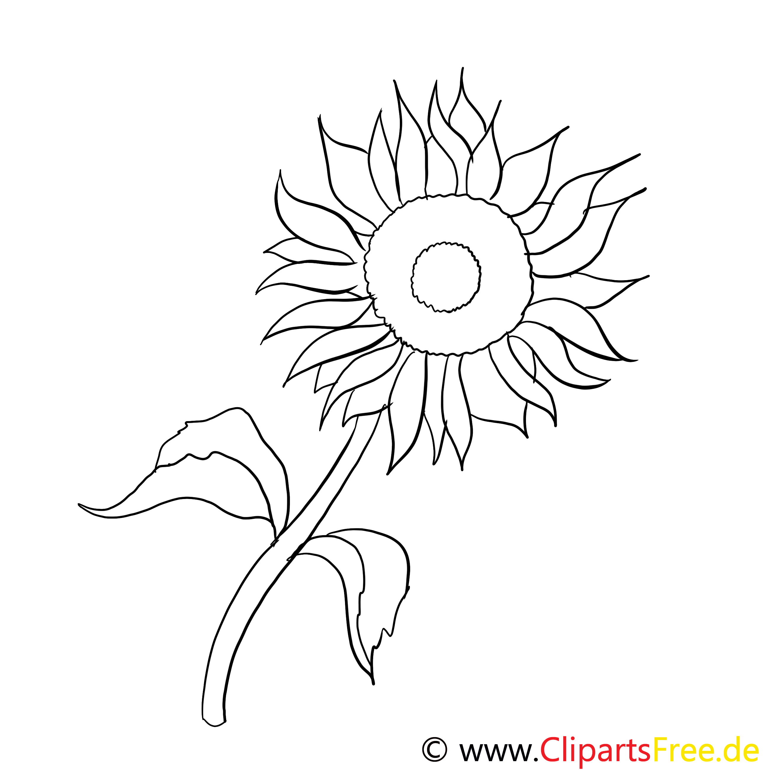 Tournesol clip art gratuit – Fleurs à imprimer - Fleurs coloriages