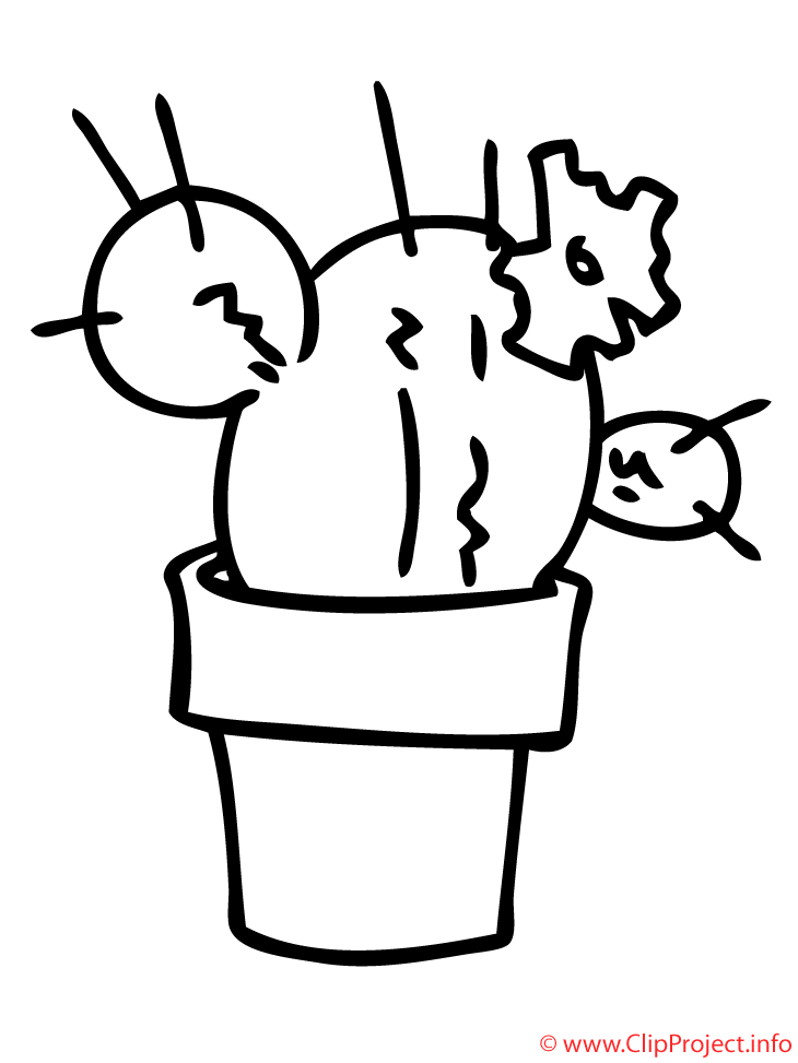 Cactus coloriage - Plantes coloriages dessin, picture, image, graphic