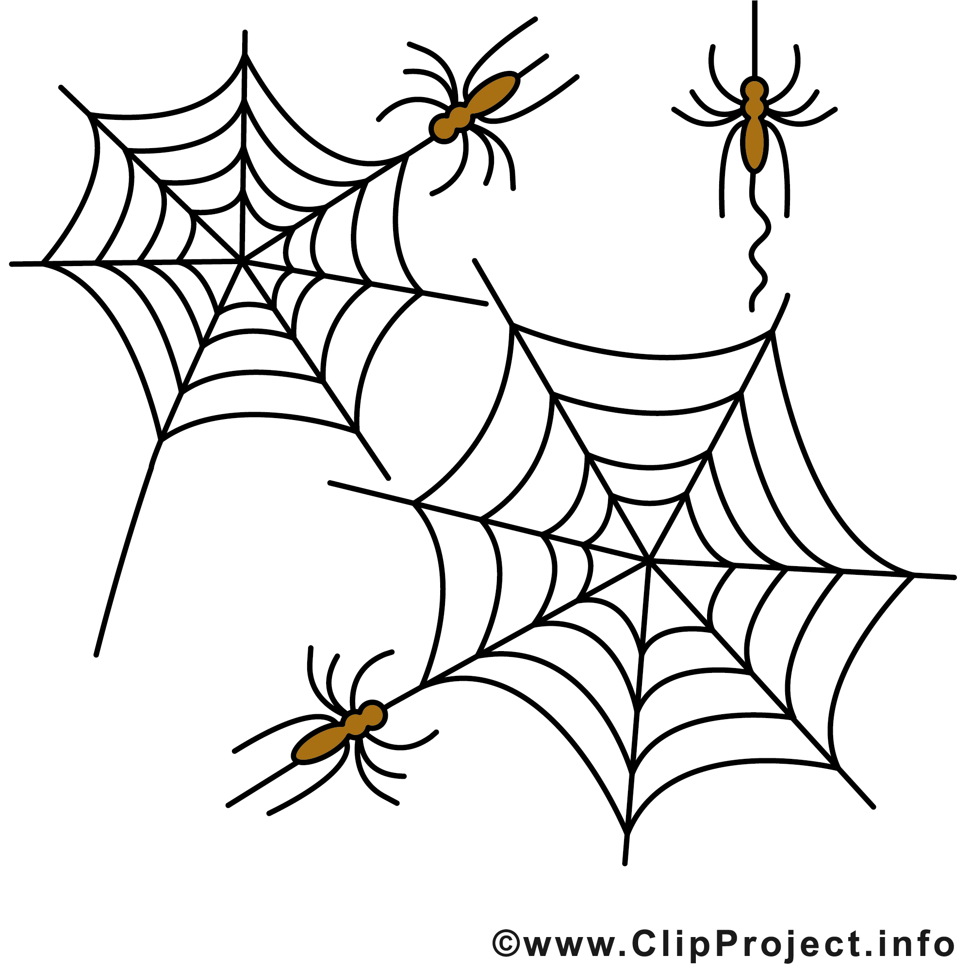 Toile d'araignée Halloween image à télécharger gratuite - Halloween