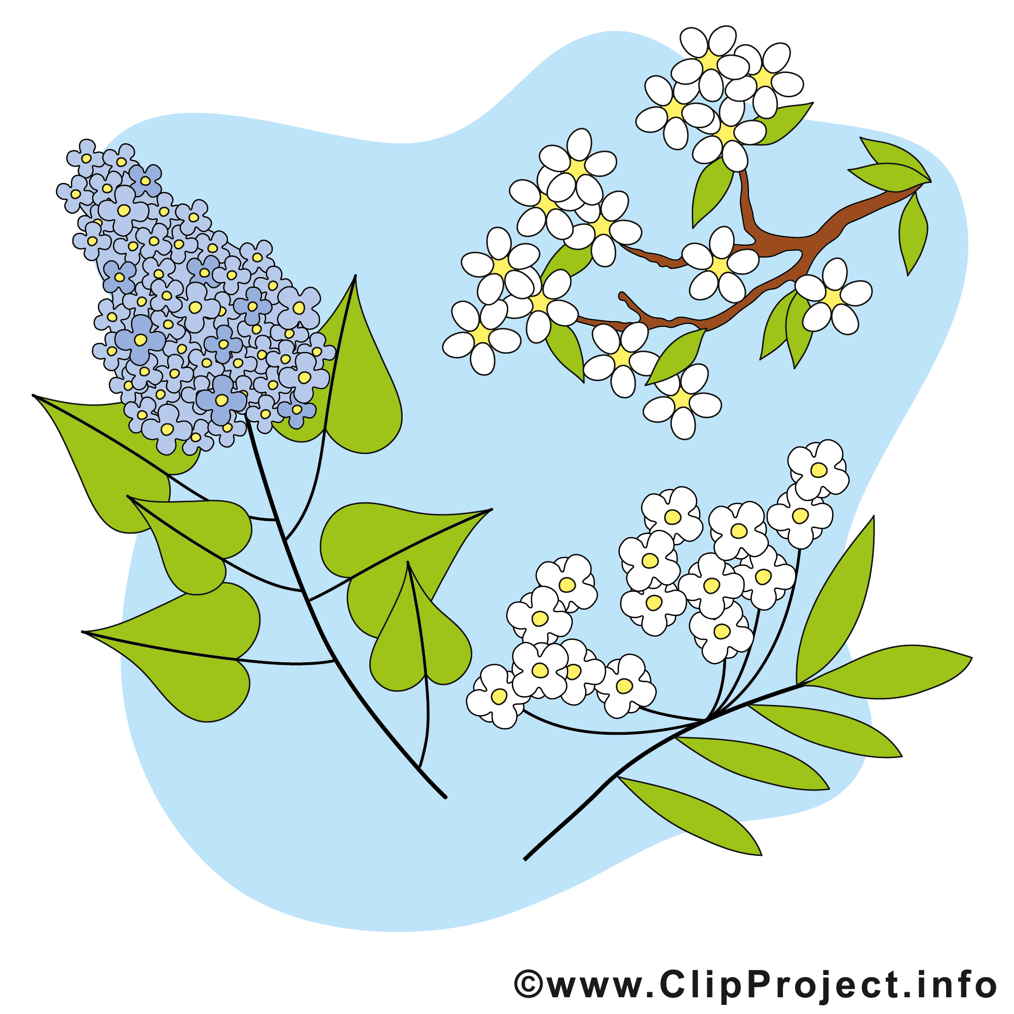 Fleurs De Printemps Dessin Couleur Floraison images - Printemps dessins gratuits - Printemps clipart