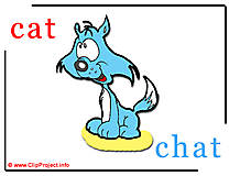 Cat - chat abc image Dictionnaire Anglais Français