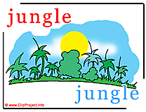 Jungle - jungle abc image dictionnaire anglais francais