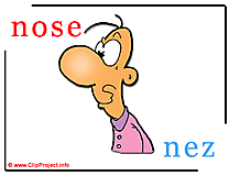 Nose - nez abc image dictionnaire anglais francais