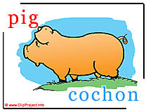 Pig - cochon abc image dictionnaire anglais francais