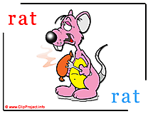 Rat - rat abc image dictionnaire anglais francais