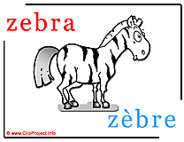 Zebra - zebre abc image dictionnaire anglais francais