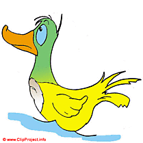 Canard sauvage clipart gratuit