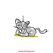 Cat clipart gratuit