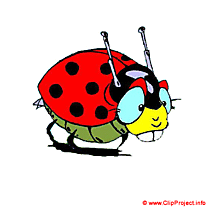 Coccinelle clipart gratuite