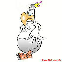 Coq clipart gratuit