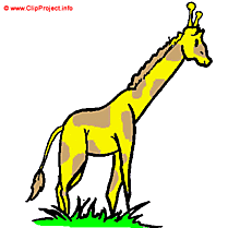 Girafe images gratuites