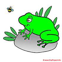 Grenouille clipart gratuit